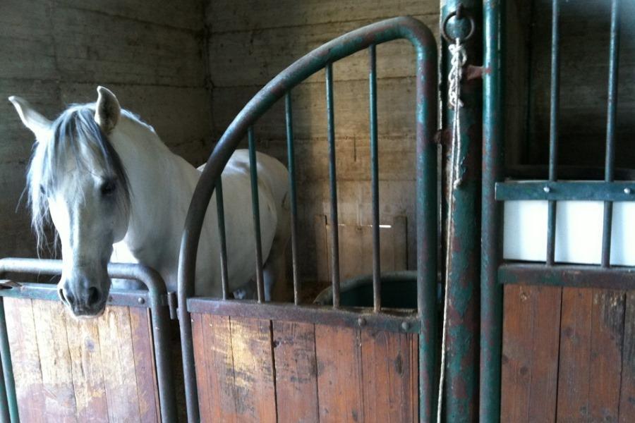 Agriturismo Amicizia كاسانو ديلي مورجي المظهر الخارجي الصورة