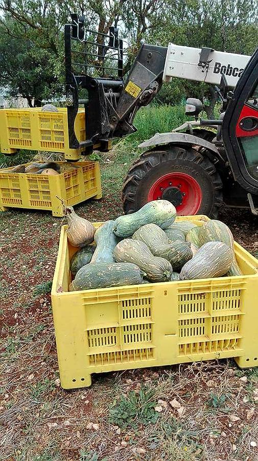 Agriturismo Amicizia كاسانو ديلي مورجي المظهر الخارجي الصورة